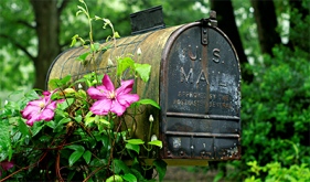 MarchMailbox2